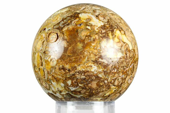 Polished Fossil Stromatolite Sphere - Green River Formation #369853